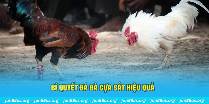 bet 88 xổ số miền bắc thứ ba hàng tuần
