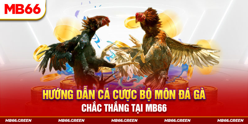bet 88 xổ số miền nam hôm nay