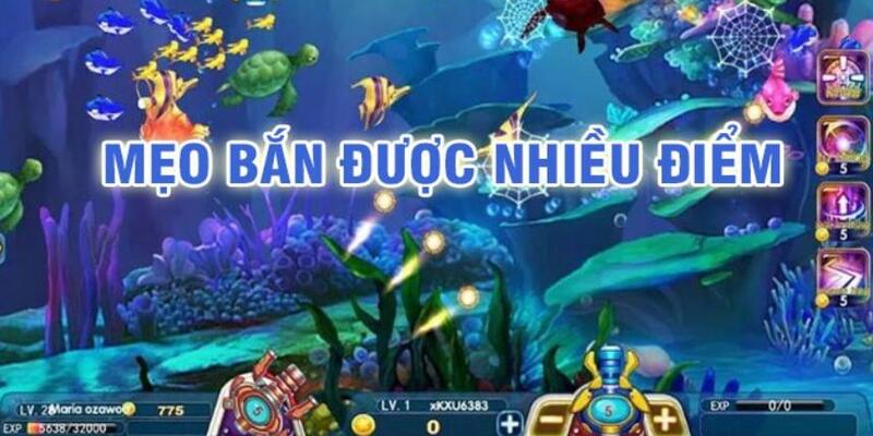 bet 88 baccarat có lừa đảo không