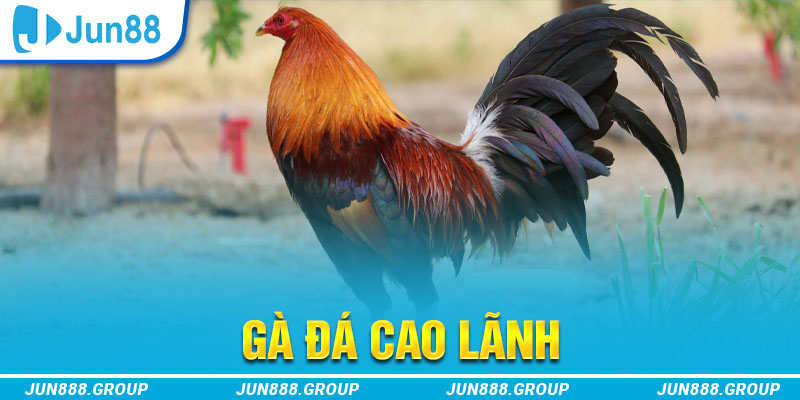 bet 88 tai game vua bai ve may tinh