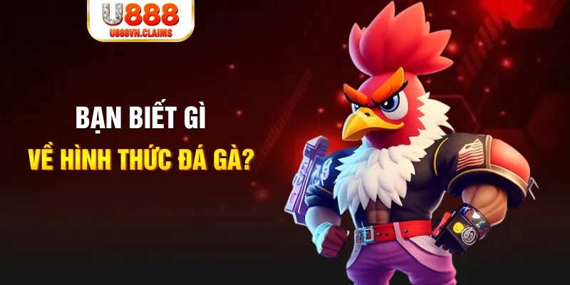 bet 88 đăng nhập liêng tặng tiền