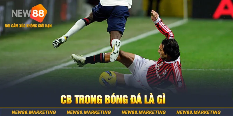 bet 88 DG Trực Tuyến