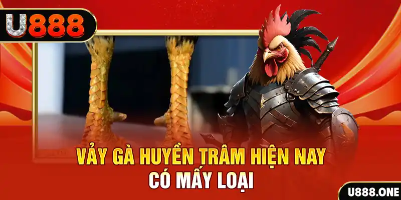 bet 88 đăng nhập nổ hũ miễn phí