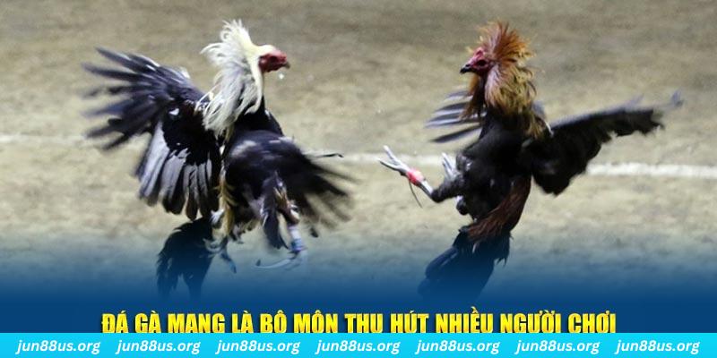 bet 88 đăng nhập sòng bạc số 1