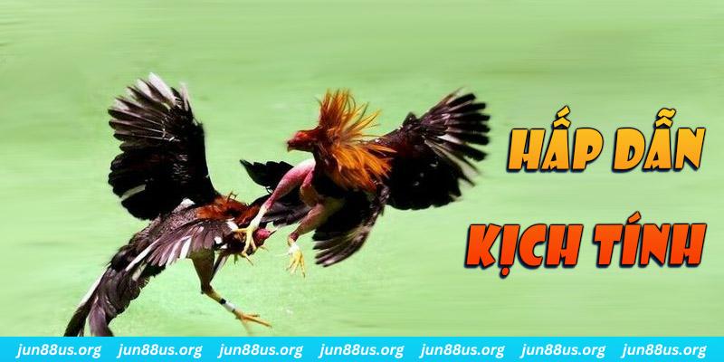 bet 88 xổ số miền nam thứ sáu