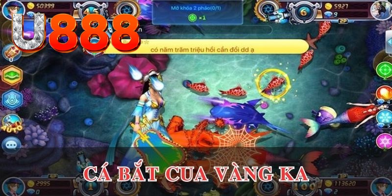 bet 88 xo so mien nam