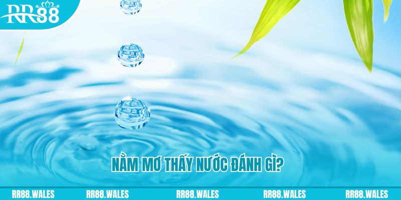 bet 88 xổ số trực tiếp miền bắc