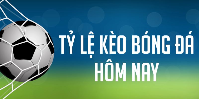 bet 88 đăng nhập phỏm