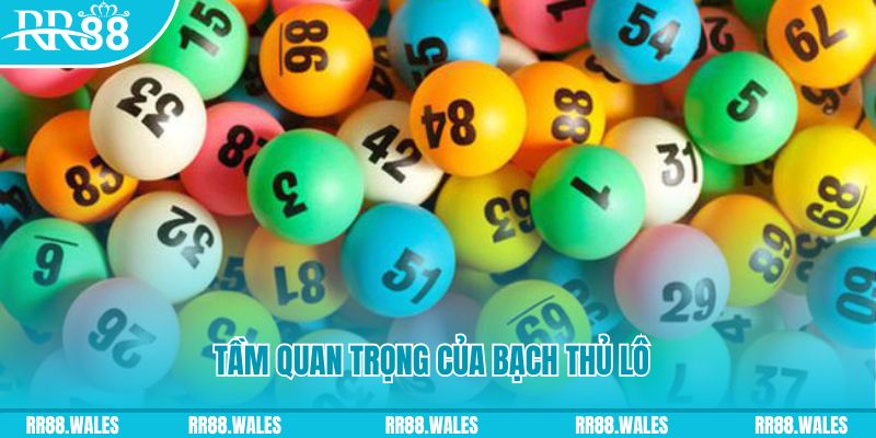 bet 88 đăng nhập sòng bạc live
