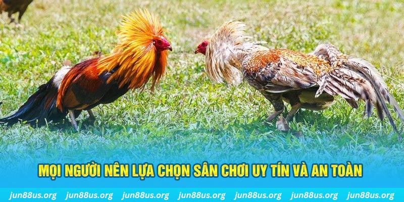 bet 88 đăng nhập poker 2025