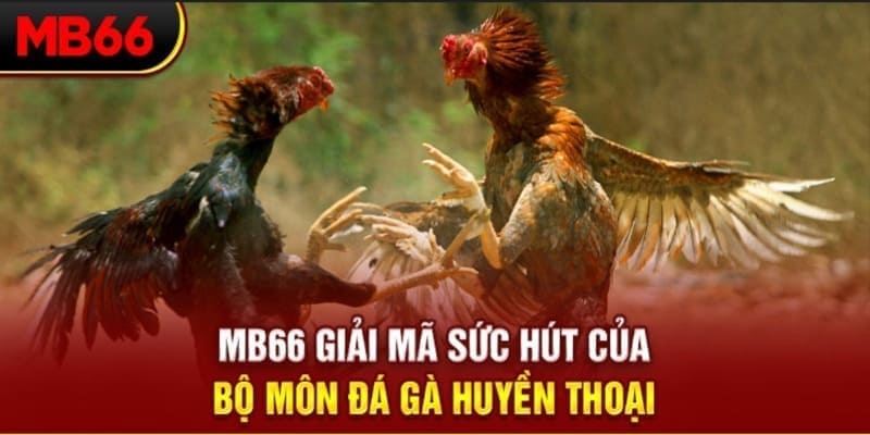 bet 88 xổ số đài bắc
