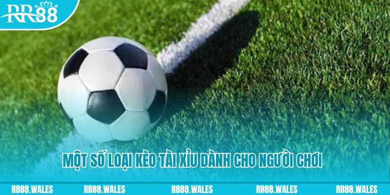 bet 88 slot nghĩa là gì