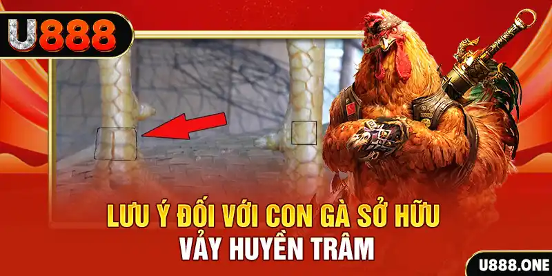 bet 88 tải game đánh bài tiến lên miền nam về máy tính