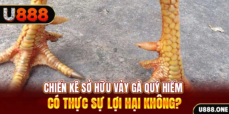 bet 88 xổ số miền trung
