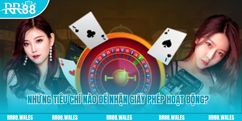 bet 88 SBO Thể Thao