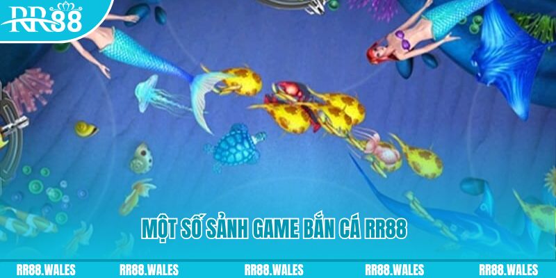 bet 88 MT Trực Tuyến
