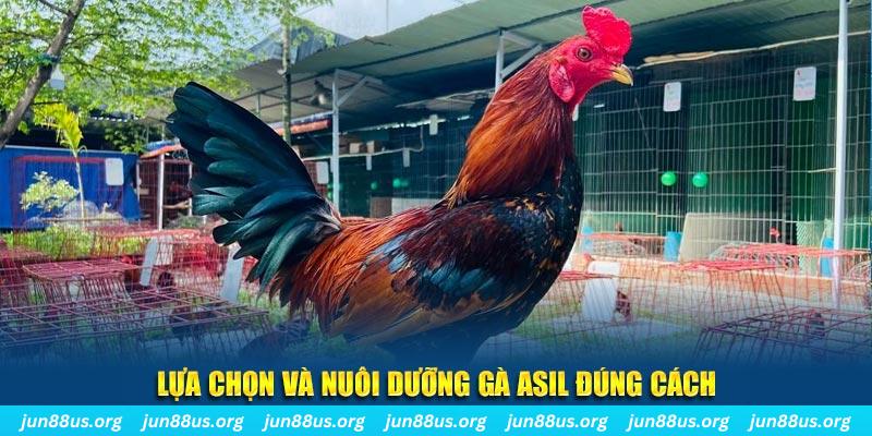 bet 88 nổ hũ thần tài là gì