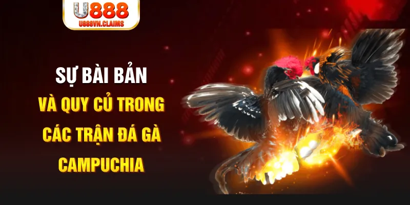bet 88 game xếp bài trên máy tính