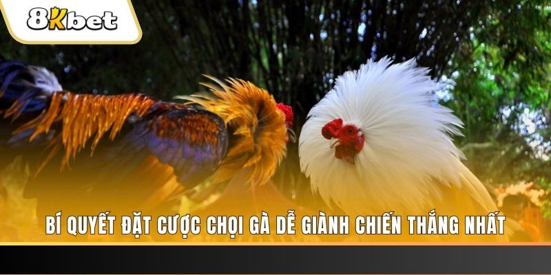 bet 88 nổ hũ chơi như thế nào