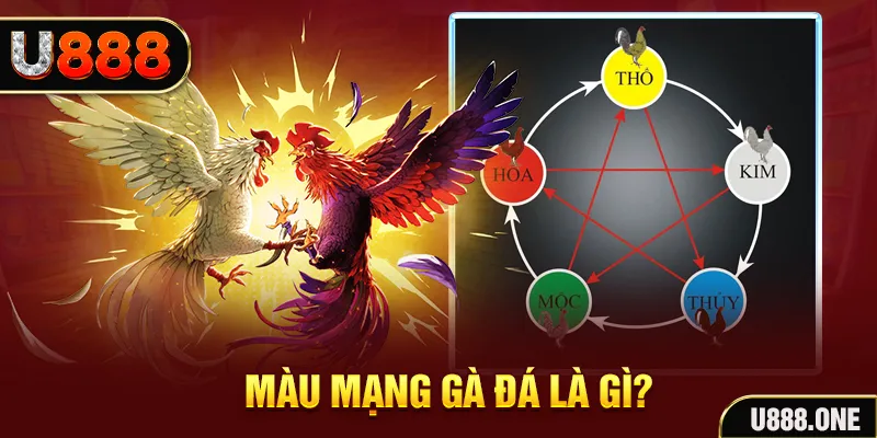 bet 88 V8 Game Bài 3d