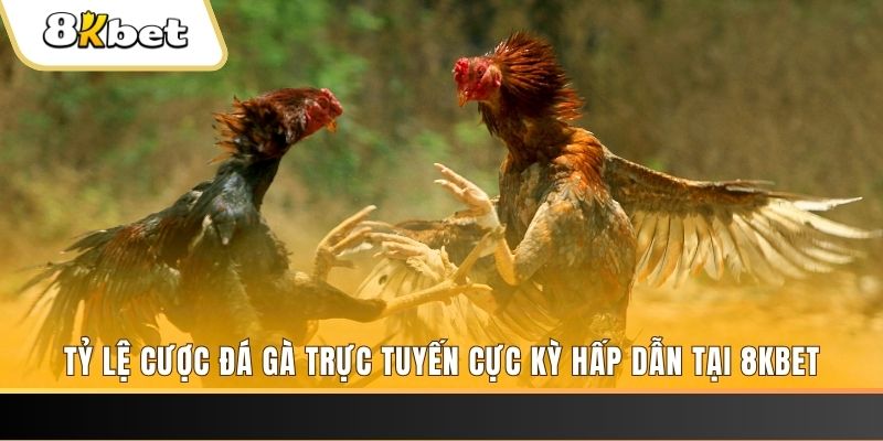 bet 88 xổ số miền bắc chủ nhật