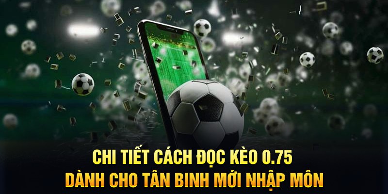 bet 88 Xì tố