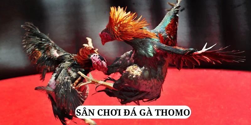 bet 88 quay nổ hũ là gì